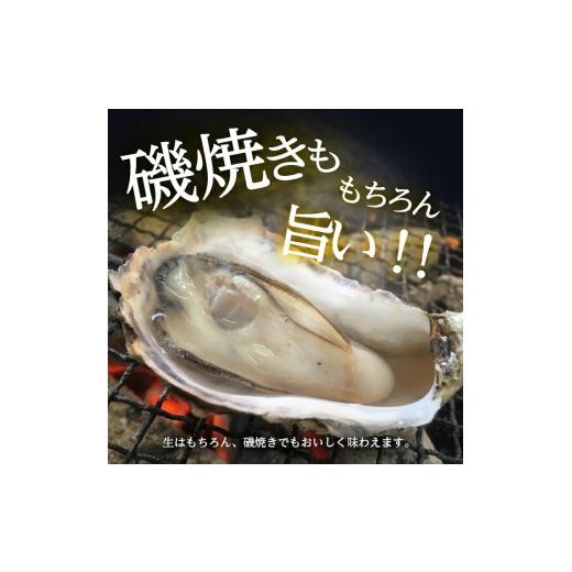 ふるさと納税 牡蠣 生牡蠣 山形県 遊佐町 山形県遊佐町女鹿産 天然岩牡蠣 5個入 約1kg 殻付き 6月上旬〜8月下旬頃お届け 冷蔵便 着日指定・離島（沖縄県を含む…_6