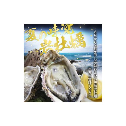 ふるさと納税 牡蠣 生牡蠣 山形県 遊佐町 山形県遊佐町女鹿産 天然岩牡蠣 5個入 約1kg 殻付き 6月上旬〜8月下旬頃お届け 冷蔵便 着日指定・離島（沖縄県を含む…_7
