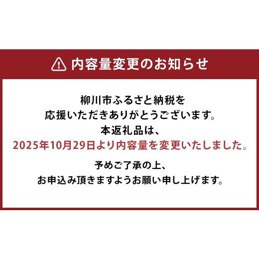 ふるさと納税 パスタ 福岡県 柳川市 冷凍 海鮮 パスタ セット 6食セット （3種類×2食） クリームパスタ アヒージョ風 トマトパスタ 冷凍パスタ 温めるだけ 簡…_3