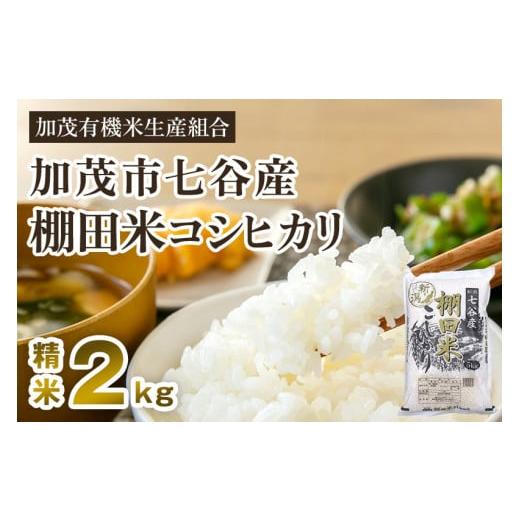 ふるさと納税 米 コシヒカリ 新潟県 加茂市 令和7年産 新潟県加茂市 七谷産 棚田米コシヒカリ 精米2kg [順次出荷] 白米 (株)ライスグローワーズ