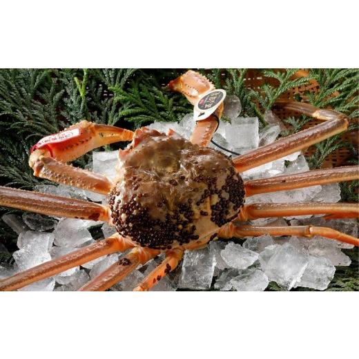 ふるさと納税 宿泊券 旅館・民宿 鳥取県 鳥取市 五輝星コースをご堪能[味覚のお宿山田屋]1泊2食ペアご宿泊