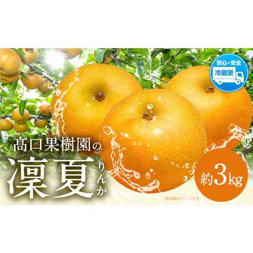 ふるさと納税 梨 熊本県 荒尾市 2026年 先行予約 梨 旬の梨 凜夏 和梨 約 3kg 秋 旬 熊本県 荒尾市産 ?口果樹園[2026年8月中旬-9月上旬頃出荷]フルーツ 果…