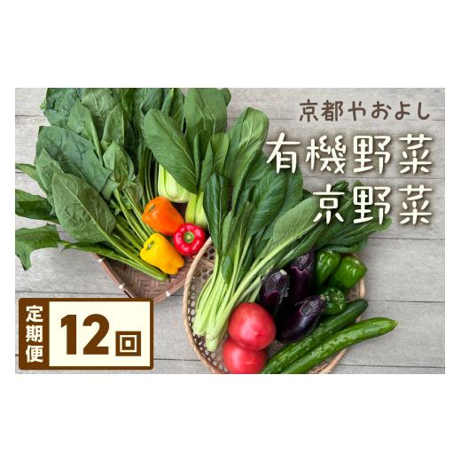 ふるさと納税 野菜類 京都府 京丹後市 定期便 合計12回お届け 有機野菜・京野菜の『京都やおよし』のお野菜詰め合わせ|野菜 京都産 詰め合わせ オーガニッ…