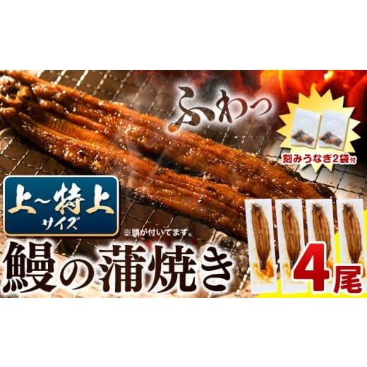 ふるさと納税 うなぎ 徳島県 上板町 うなぎ 国産 鰻の蒲焼 4尾 + きざみうなぎ 30g×2袋 上〜特上サイズ[30日以内に出荷]| うなぎ 蒲焼 国産 うなぎ 小分け …