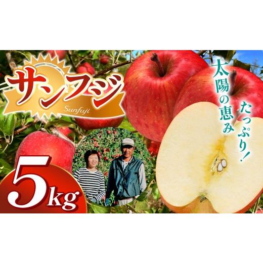 ふるさと納税 りんご 長野県 松本市 先行受付:11月発送 サンフジ 5kg(14〜16玉) | サンふじ さんふじ 林檎 りんご 長野県 松本市 果物 フルーツ ふるさと…