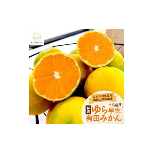 ふるさと納税 果物類 みかん 和歌山県 美浜町 先行予約 特撰 ゆら早生有田みかん 1.2kg(1kg+200g(傷み補償分))