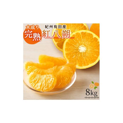 ふるさと納税 みかん・柑橘類 和歌山県 美浜町 紀州有田産木成り完熟紅八朔8kg