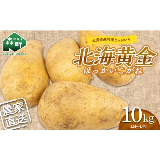 ふるさと納税 野菜類 じゃがいも 北海道 森町 先行予約 希少 北海道森町産じゃがいも「北海黄金ほっかいこがね」LM〜L玉 約10kg(2026年9月より順次発送) mr…