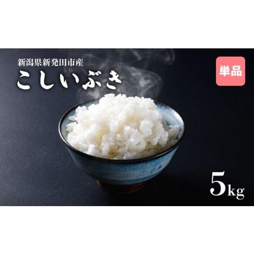 ふるさと納税 米 コシヒカリ 新潟県 新発田市 令和7年産 新潟県産こしいぶき 5kg 新潟県 新潟産 新潟米 新発田産 新発田 お米 米 こしいぶき とんとん市場 せ…