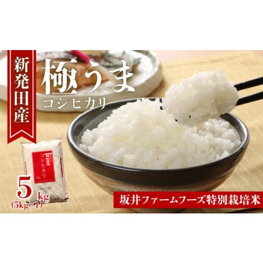 ふるさと納税 米 コシヒカリ 新潟県 新発田市 令和7年産 新潟県産 コシヒカリ 5kg 坂井ファーム 特別栽培米コシヒカリ 新潟 新発田 米 玄米 精米 白米 ご飯 お…
