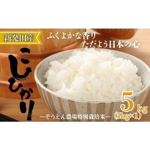 ふるさと納税 米 コシヒカリ 新潟県 新発田市 令和7年産 新潟県産 コシヒカリ 5kg そうえん米 特別栽培米 お米 米 kome 白米 ご飯 こめ ごはん ライス ふるさ…