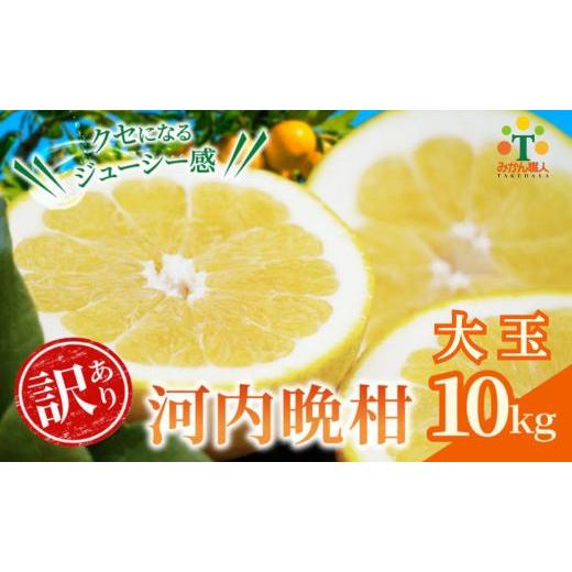 ふるさと納税 みかん・柑橘類 愛媛県 愛南町 訳あり みかん職人の河内晩柑 大玉 10kg 約15〜20個入り (なくなり次第終了) 先行予約 河内晩柑 果物 柑橘 みかん…