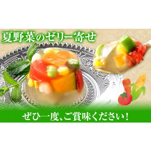 ふるさと納税 セット・詰合せ 福岡県 鞍手町 夏野菜 ゼリー寄せ 10個セット 独楽《60日以内に出荷予定(土日祝除く)》福岡県 鞍手郡 鞍手町 ひんやり 冷たい プ…_5