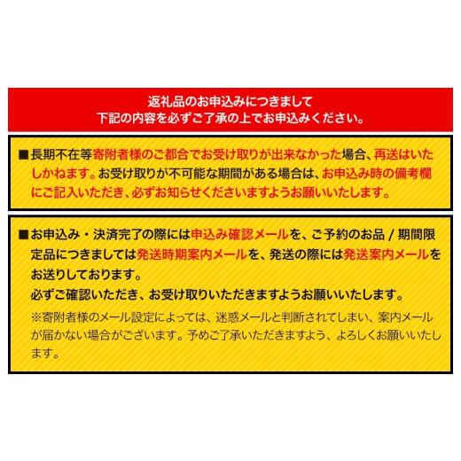 ふるさと納税 セット・詰合せ 福岡県 鞍手町 夏野菜 ゼリー寄せ 10個セット 独楽《60日以内に出荷予定(土日祝除く)》福岡県 鞍手郡 鞍手町 ひんやり 冷たい プ…_6