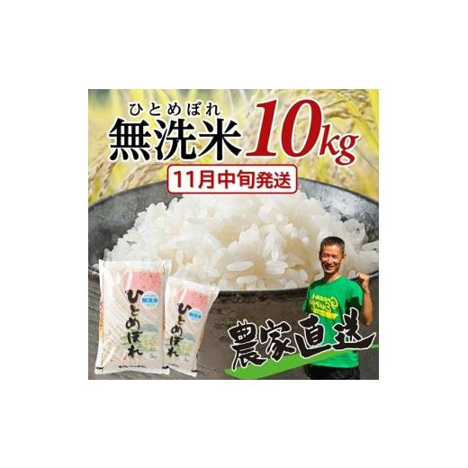 ふるさと納税 米 ひとめぼれ 山形県 酒田市 11月中旬配送/ 新米予約 無洗米 ひとめぼれ 令和8年産 10kg 5kg×2袋 米 白米 ご飯 ごはん おにぎり お米 弁当 山…
