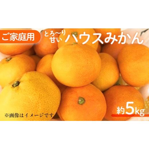 ふるさと納税 果物類 みかん 愛媛県 松山市 2026年6月中旬頃から順次発送 みかん 家庭用 ハウスみかん 5kg ミカン 柑橘 ふるーつ くだもの はうすみかん 家庭…