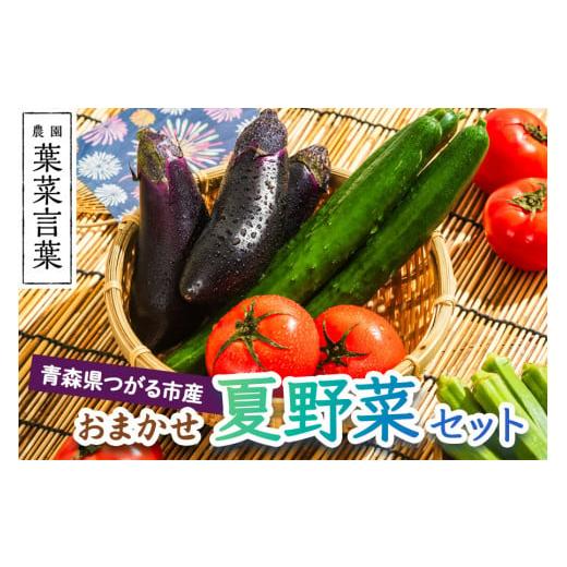 ふるさと納税 セット・詰合せ 青森県 つがる市 葉菜言葉のおまかせ夏野菜セット 約1kg 令和8年産｜旬の野菜 夏 野菜セット 冷蔵 詰め合わせ 産直 農家直送 新…_1