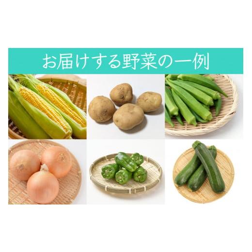 ふるさと納税 セット・詰合せ 青森県 つがる市 葉菜言葉のおまかせ夏野菜セット 約1kg 令和8年産｜旬の野菜 夏 野菜セット 冷蔵 詰め合わせ 産直 農家直送 新…_2