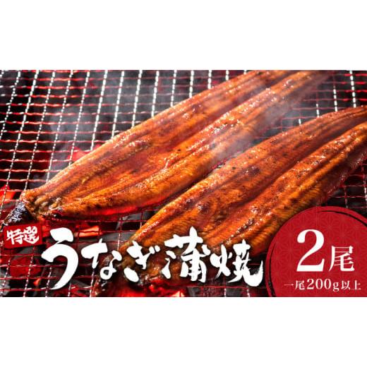 ふるさと納税 うなぎ 佐賀県 大町町 うなぎ蒲焼き 400g (200g×2尾) / 国産 蒲焼き 長焼き ウナギ 鰻 蒲焼 冷凍 贈答 うなぎ 通常配送