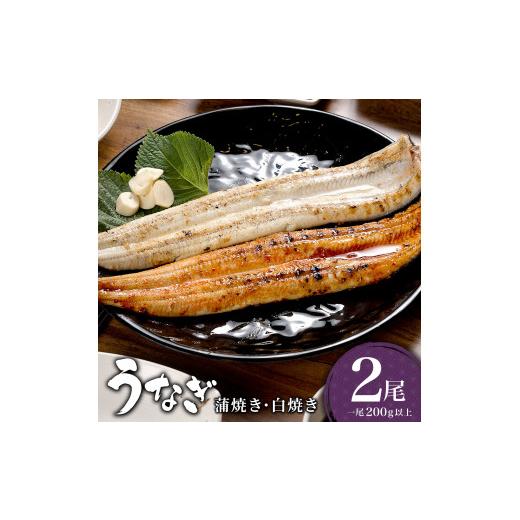 ふるさと納税 うなぎ 佐賀県 大町町 うなぎ 蒲焼き 白焼き 食べ比べセット 400g (200g×各1尾) /うなぎ 鰻 ウナギ 蒲焼 蒲焼き 土用 丑の日 特選 肉厚 たれ …