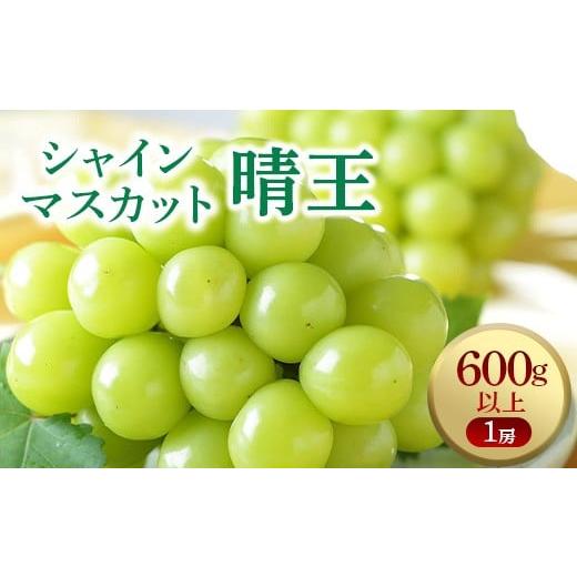 ふるさと納税 ぶどう マスカット 岡山県 井原市 シャインマスカット晴王2房 1.2kg以上(1房600g以上)