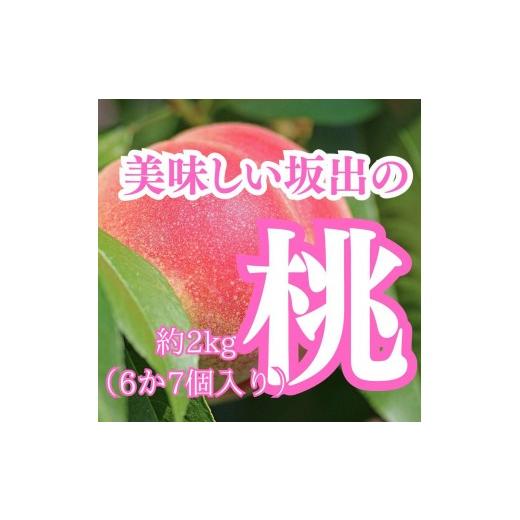 ふるさと納税 もも 香川県 坂出市 美味しい坂出の桃 約2kg(6〜7個)