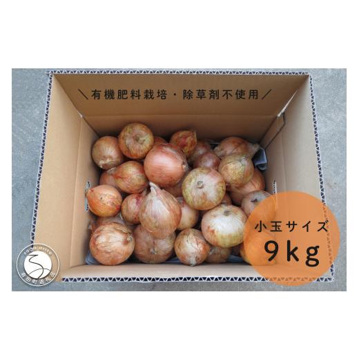 ふるさと納税 野菜類 玉ねぎ 佐賀県 有田町 小玉サイズたまねぎ約9キロ 有機肥料栽培・除草剤不使用 輝ファーマーズ たまねぎ 小ぶり お料理 F15-28