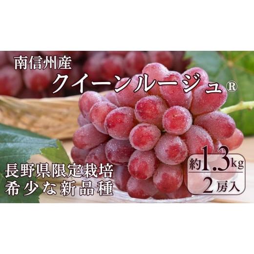 ふるさと納税 果物類 ぶどう 長野県 豊丘村 B-11 先行受付 ぶどう クイーンルージュ約1.3kg 2房 2025年9月中旬〜9月下旬発送予定
