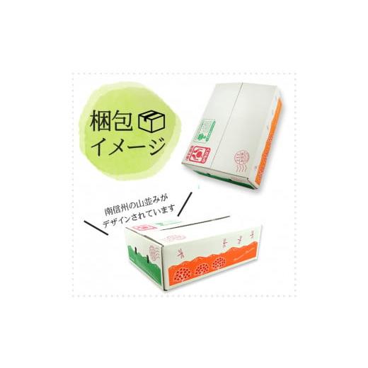 ふるさと納税 果物類 ぶどう 長野県 豊丘村 B-11 先行受付 ぶどう クイーンルージュ約1.3kg 2房 2025年9月中旬〜9月下旬発送予定