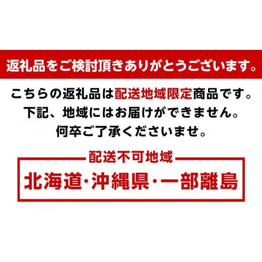 ふるさと納税 家具 本棚・ラック・カラーボックス 和歌山県 海南市 アクリリック ウォールシェルフ W60浅型2個組の画像