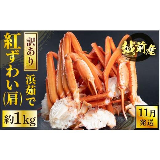 ふるさと納税 カニ ずわいガニ 福井県 越前町 冷蔵便 訳あり 浜茹で 越前産 紅ずわいがに 肩 約 1kg 紅ズワイガニ ボイル 蟹 かに カニ 福井県 11月発送 e22-…