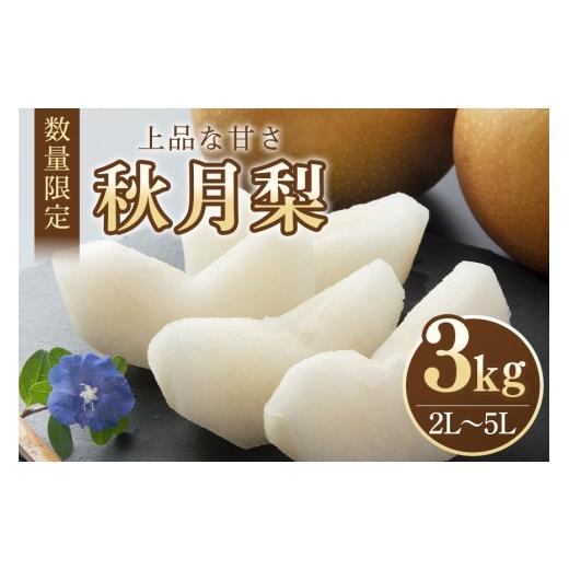ふるさと納税 梨 茨城県 小美玉市 数量限定・先行予約 梨 秋月 3kg 2L〜5L 6〜9玉 なし ナシ あきづき アキヅキ 果物 フルーツ 国産 9月15日以降発送予定 70-…