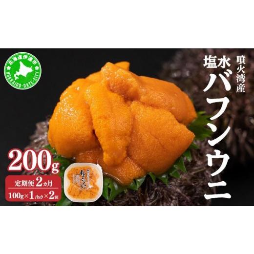 ふるさと納税 ウニ 北海道 伊達市 5525-0989 定期便2カ月 北海道 噴火湾産 塩水 バフンウニ 100g 1パック うに ウニ 雲丹 海鮮 海の幸 魚介類 ウニ丼 お寿司 …