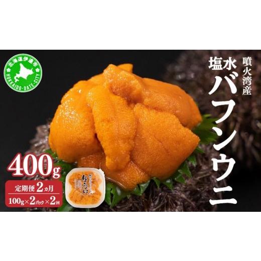 ふるさと納税 ウニ 北海道 伊達市 5525-0990 定期便2カ月 北海道 噴火湾産 塩水 バフンウニ 100g 2パック うに ウニ 雲丹 海鮮 海の幸 魚介類 ウニ丼 お寿司 …