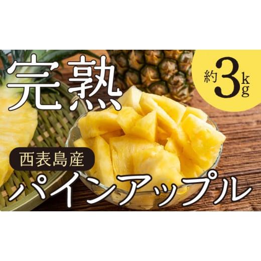 ふるさと納税 果物類 沖縄県 竹富町 2026年 先行予約 完熟 パインアップル 約3kg 水鴨農園 パイン パイナップル 果物 フルーツ 約3kg