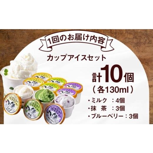 ふるさと納税 菓子 アイス 北海道 喜茂別町  全3回定期便 ミルク工房 カップアイスセット（130ml×10個）《喜茂別町》 ニセコリゾート観光協会 アイス アイス…の画像