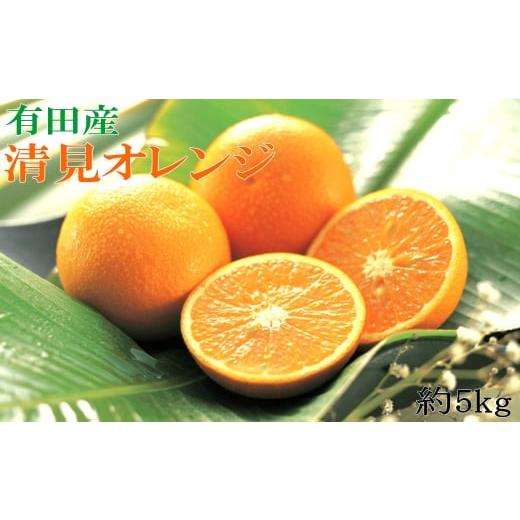 ふるさと納税 ジャム オレンジ 和歌山県 串本町 濃厚 有田産清見オレンジ約5kg（サイズおまかせ 青秀以上） 2027年2月中旬〜2027年3月中旬頃に順次発送予定（…