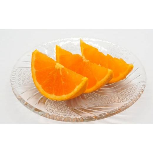 ふるさと納税 ジャム オレンジ 和歌山県 串本町 濃厚 有田産清見オレンジ約5kg（サイズおまかせ 青秀以上） 2027年2月中旬〜2027年3月中旬頃に順次発送予定（…