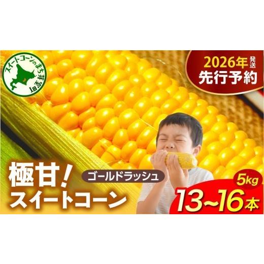 ふるさと納税 とうもろこし 北海道 芽室町 先行受付 2026年8月上旬〜8月中旬頃発送 北海道十勝芽室町 ファームミリオンの極甘スイートコーン 5kg me016-011c-…