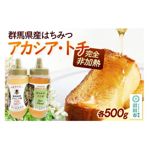 ふるさと納税 加工品等 はちみつ 群馬県 沼田市 群馬県産蜂蜜 アカシア・栃 500g 各1本 詰め合わせ 蜂蜜 はちみつ ハチミツ 国産 アカシア アカシヤ 栃 とち …の画像