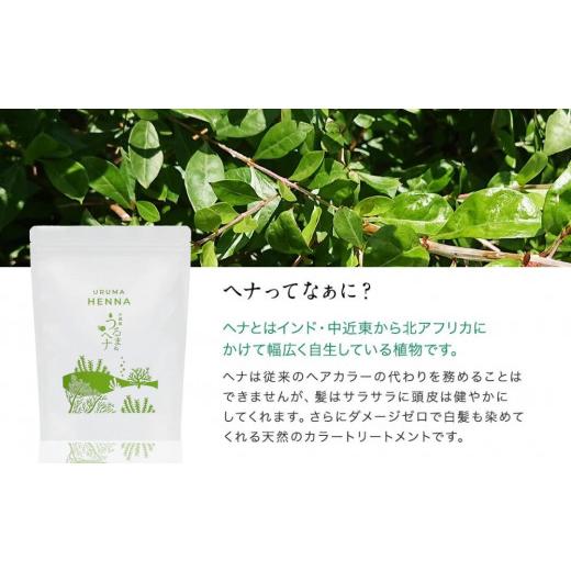 ふるさと納税 美容 沖縄県 うるま市 沖縄産ヘナ「うるまヘナ」1袋（500g）の画像