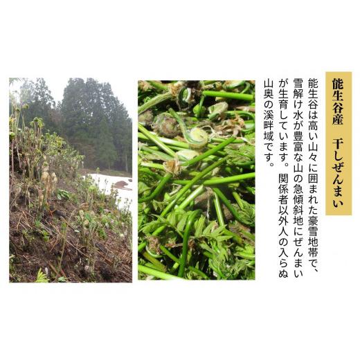 ふるさと納税 野菜類 山菜 新潟県 糸魚川市 ぜんまい 小300g 乾燥ぜんまい 干しぜんまい 天日干し 手もみ 乾物 新潟県 糸魚川市 山菜 ゼンマイ 能生谷 おおか…の画像