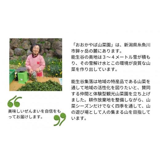 ふるさと納税 野菜類 山菜 新潟県 糸魚川市 ぜんまい 小300g 乾燥ぜんまい 干しぜんまい 天日干し 手もみ 乾物 新潟県 糸魚川市 山菜 ゼンマイ 能生谷 おおか…の画像