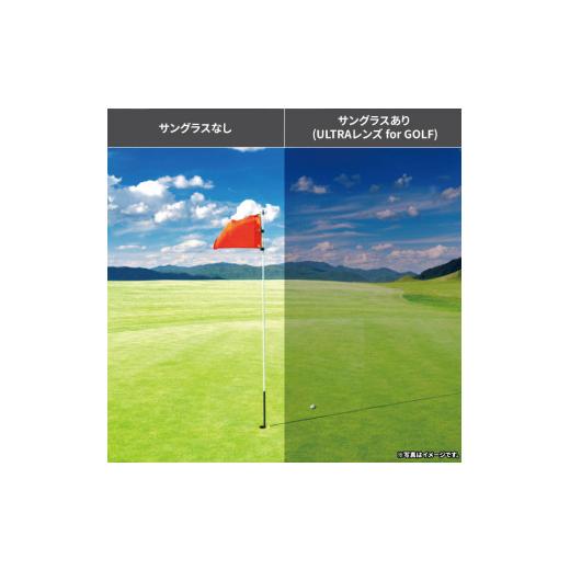 ふるさと納税 スポーツ・アウトドア 徳島県 阿波市 SWANS サングラス ゴルフ アウトドア UVカット 99.9%以上 ユニセックス メンズ レディース 日焼け 紫外線 …_6