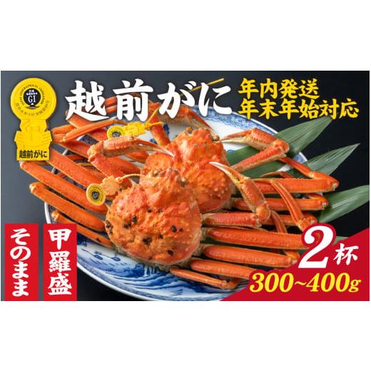 ふるさと納税 カニ ずわいガニ 福井県 福井市 先行予約 選べる 美味しさ直送 成前特選 越前かに(300〜400g)×2杯 年内発送・年末年始対応 姿 E-028032_06 …
