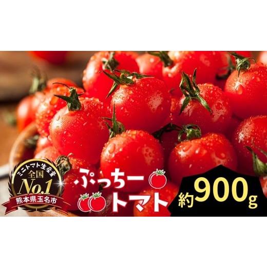ふるさと納税 トマト ミニトマト 熊本県 玉名市 ぷっちートマト ミニトマト 900g | 野菜 やさい ミニトマト ミニ とまと トマト 900g リコピン 熊本県 玉名市 …