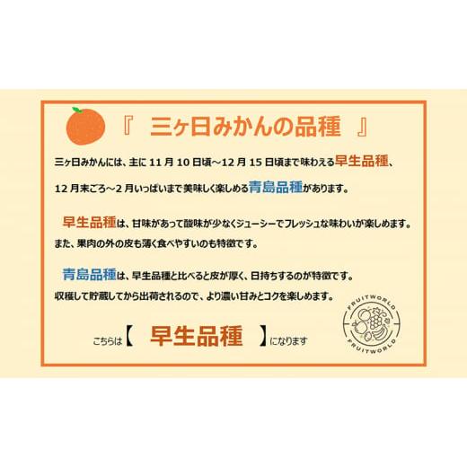 ふるさと納税 果物類 みかん 静岡県 浜松市  2026年11月中旬より順次発送 三ヶ日みかん 早生 3kg M〜L 早生みかん みかん 蜜柑 ミカン 果物 くだもの 旬のフル… |  | 05