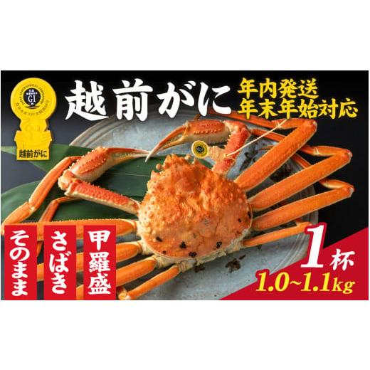ふるさと納税 カニ ずわいガニ 福井県 福井市 先行予約 選べる 美味しさ直送 成前特選 越前かに(1.0〜1.1kg)1杯 年内発送・年末年始対応 姿 L-028017_06 /…