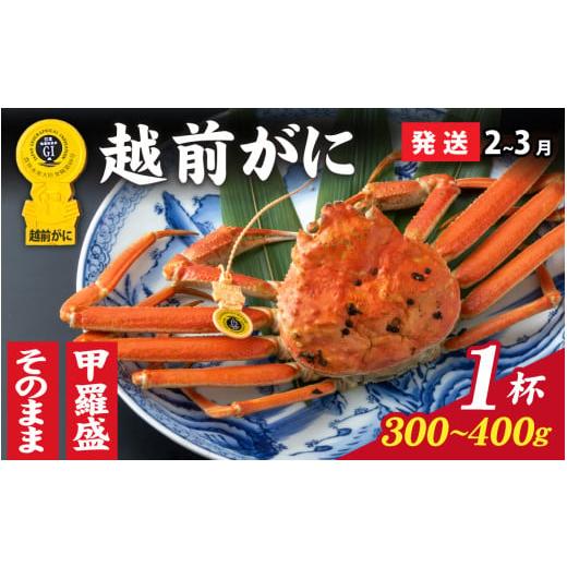 ふるさと納税 カニ ずわいガニ 福井県 福井市 先行予約 選べる 美味しさ直送 成前特選 越前かに(300g〜400g)×1杯 2月〜3月発送 姿 C-028041_06 / 福井県…