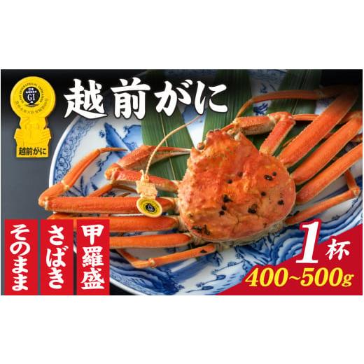 ふるさと納税 カニ ずわいガニ 福井県 福井市 先行予約 11月〜3月発送 選べる 美味しさ直送 成前特選 越前がに(400g〜500g)×1杯 姿 D-028042_06 / 福井県…